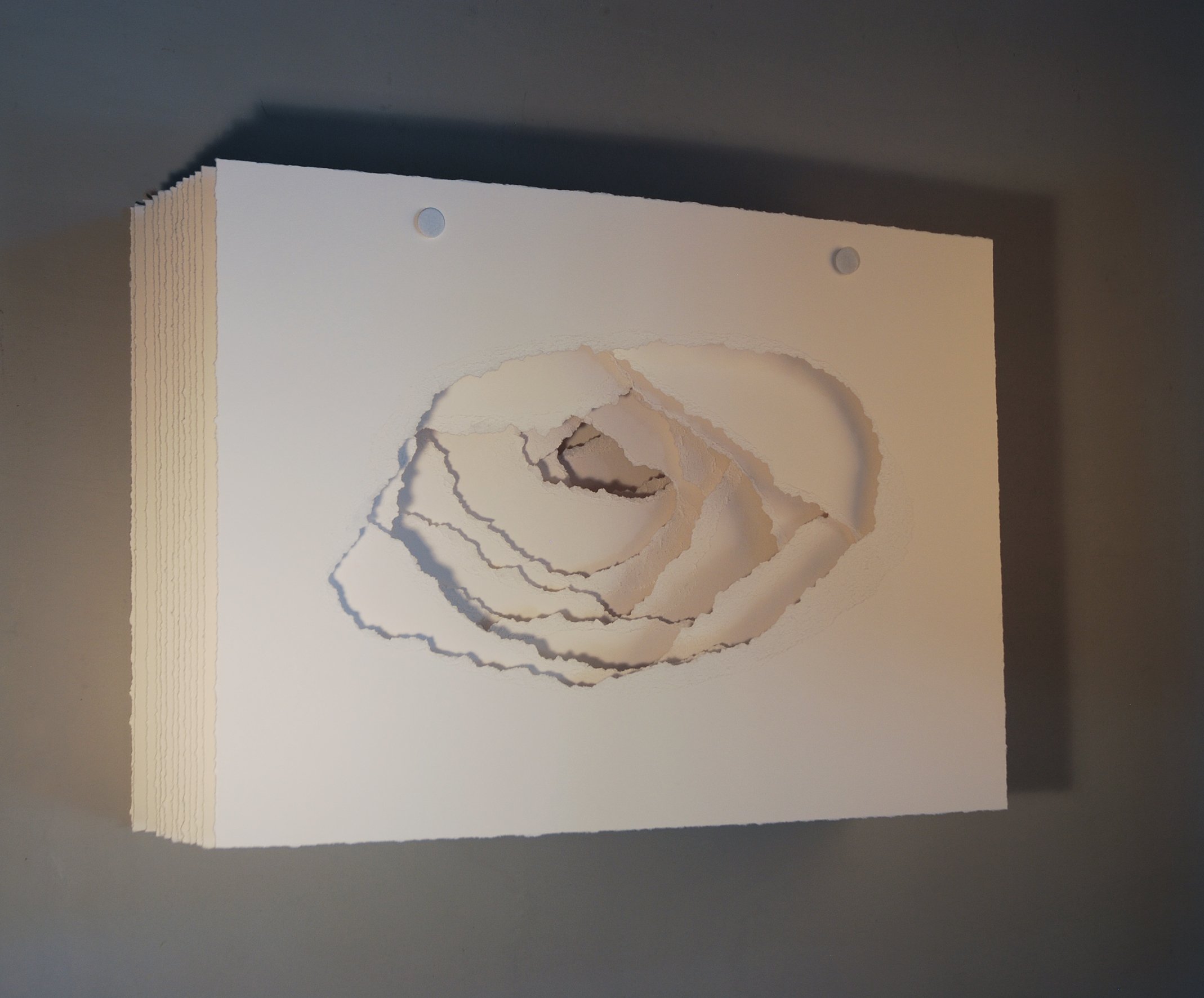 Angela Glajcar: Terforation, 2012-024, Papier 300g, gerissen, 46,5 x 66,5 x 20 cm